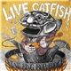 Catfish Featuring Bob Hodge - Live Catfish